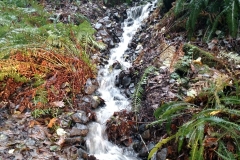 IMG_20151217_140911402