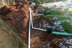 IMG_20170105_110348293