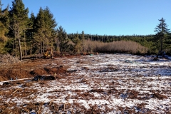 IMG_20170105_111302872