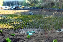 PANO_20181116_103119.vr